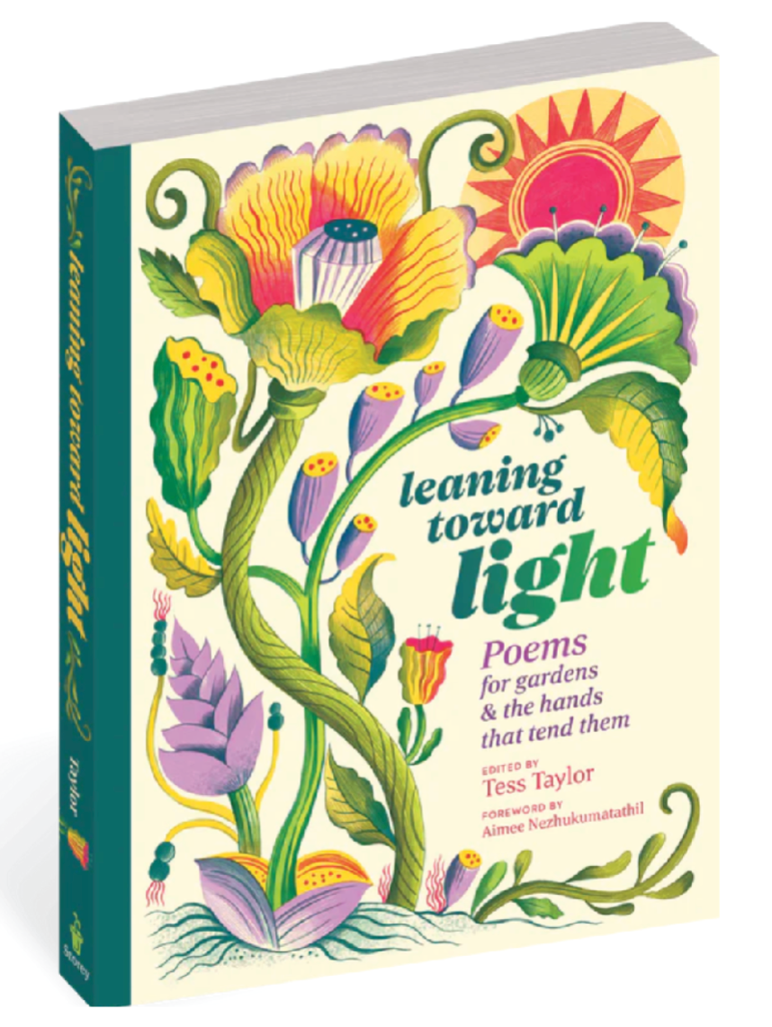 INSPIRATIONAL BOOKS - Foxy’s