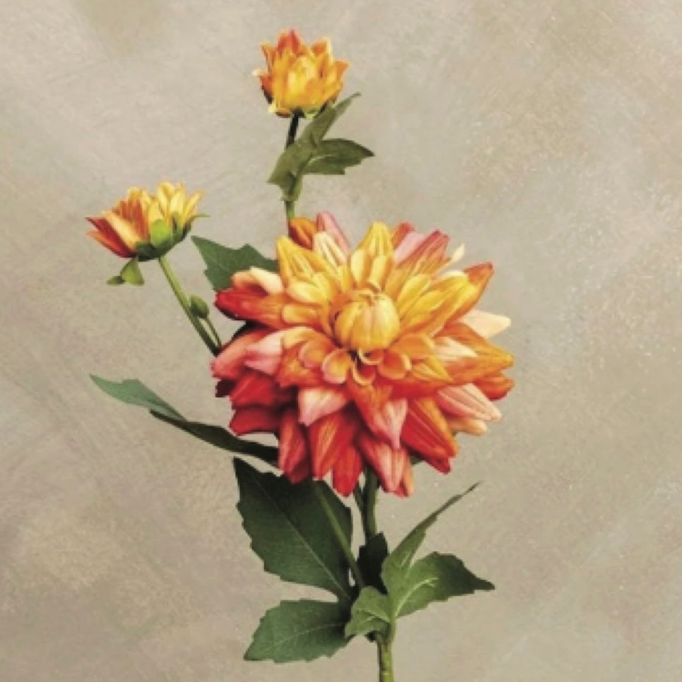 FLOWER COLLECTION