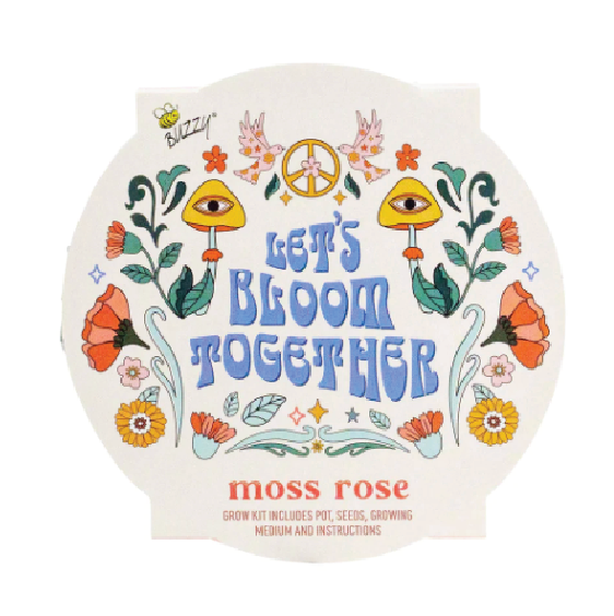Let's Bloom Together Moss Rose Plant for Home