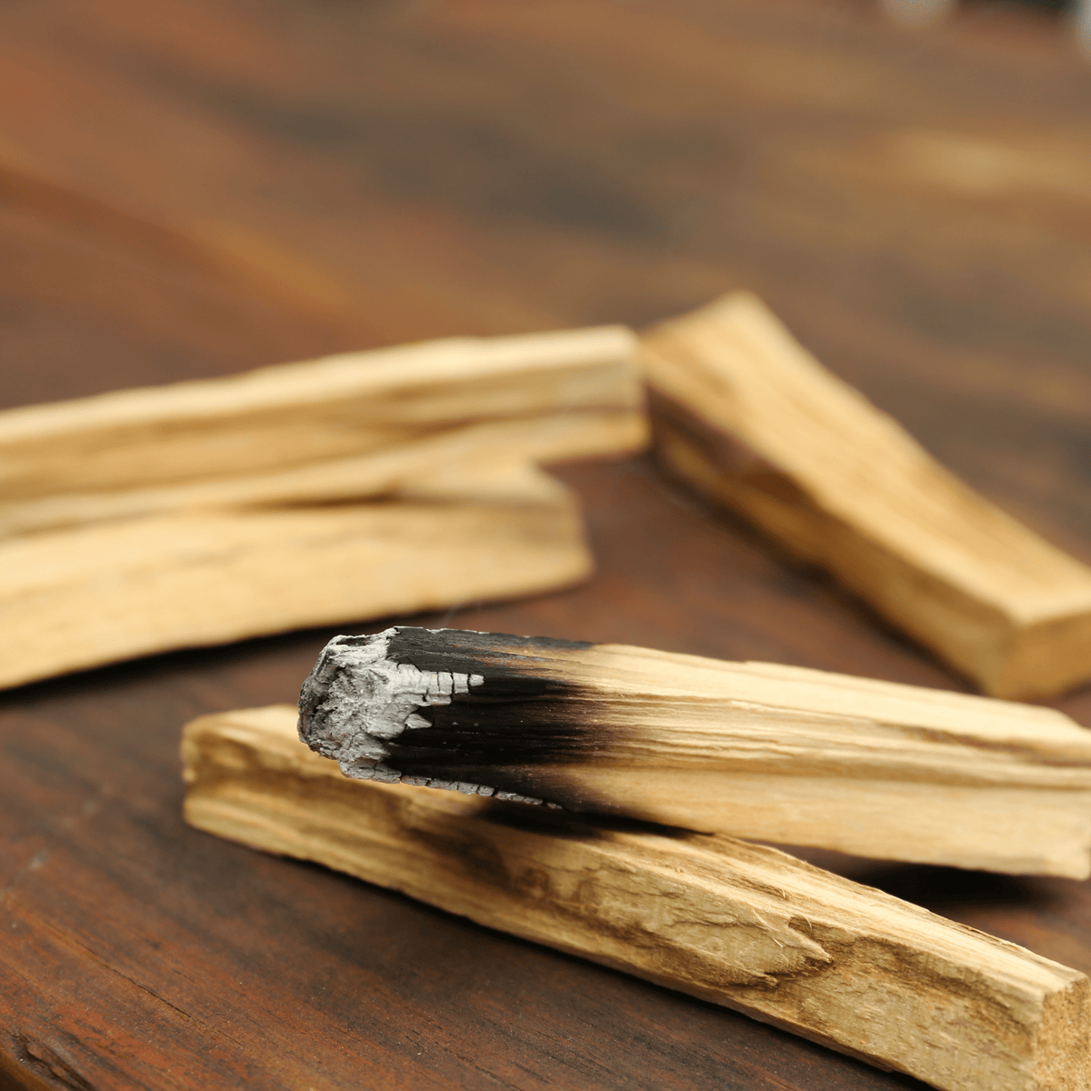 Loose Palo Santo Smudge Burning Stick - Cleansing + Renewal - Foxy’s