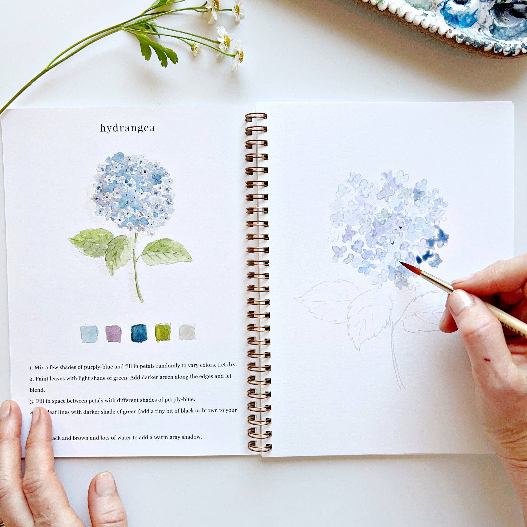Flowers watercolor workbook - Foxy’s