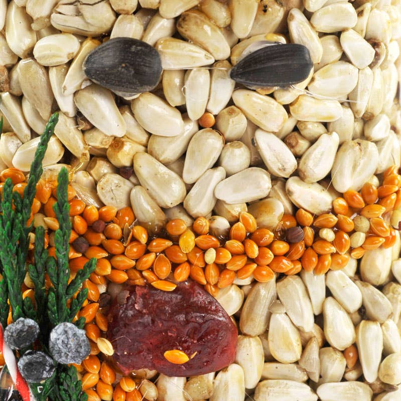 Christmas Shapes (Tree, Snowman, and Stocking) - 3Pk Bird Seed - Foxy’s