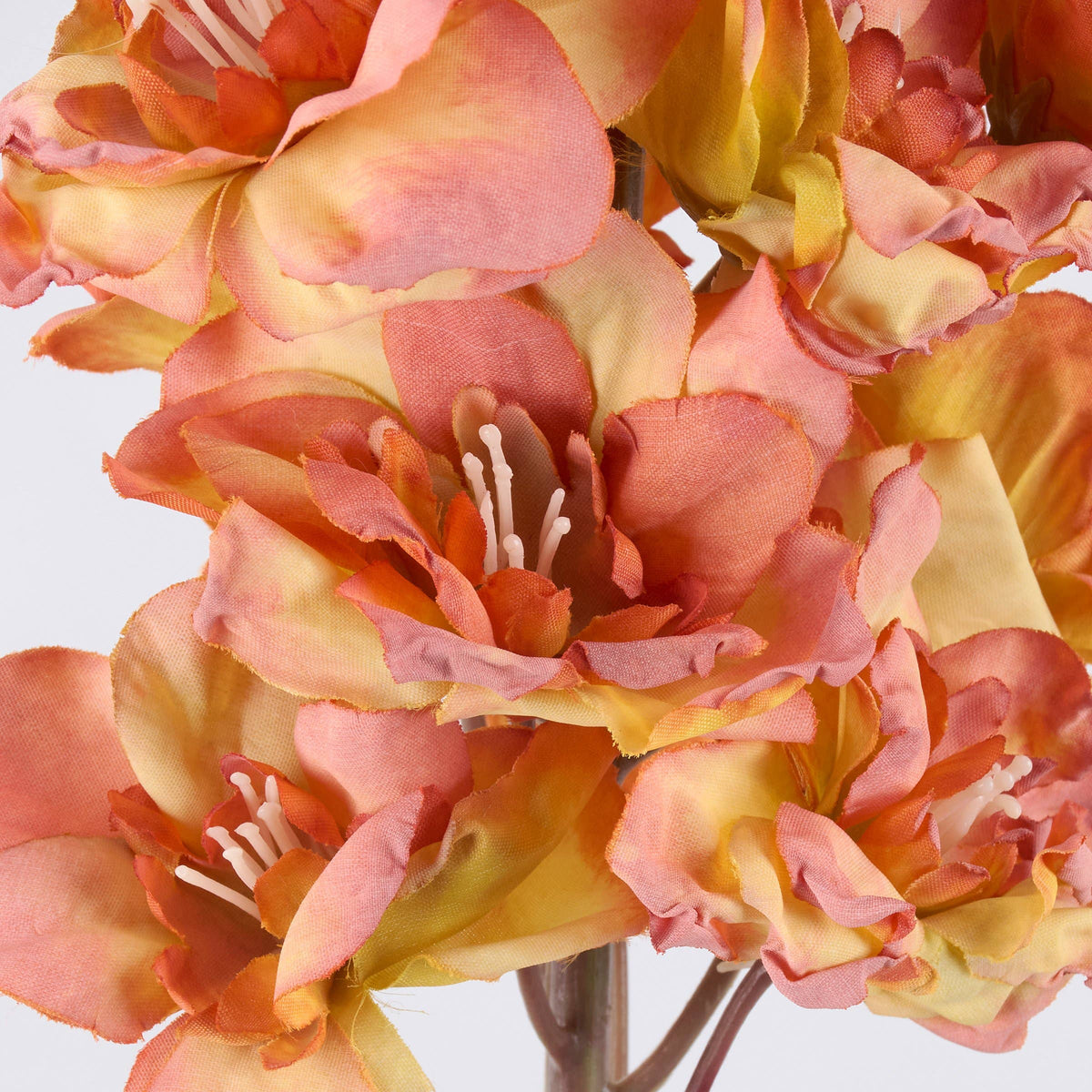 Peach Delphinium Floral Pick