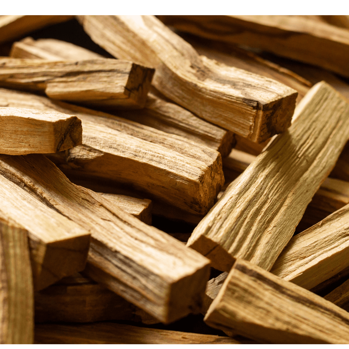 Loose Palo Santo Smudge Burning Stick - Cleansing + Renewal - Foxy’s