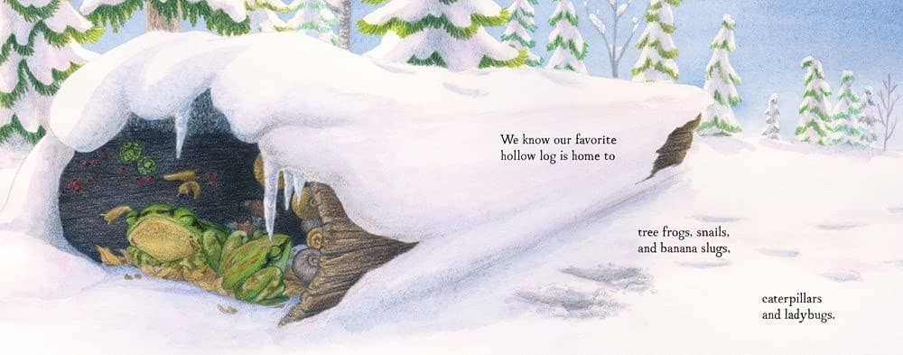 When Winter Comes (board book): Season Children's Book - Foxy’s