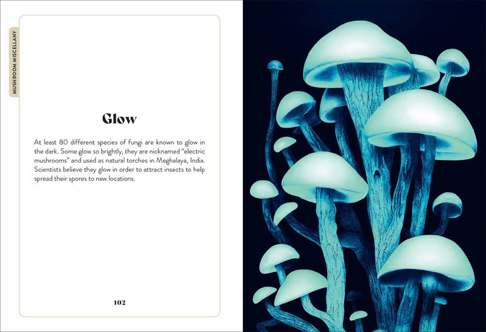 Mushroom Miscellany by Adele Nozedar - Illustrated Guide & Cookbook - Foxy’s