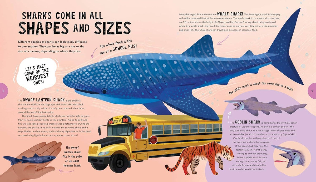 Illustration of various sharks with a school bus for scale on a light pink background