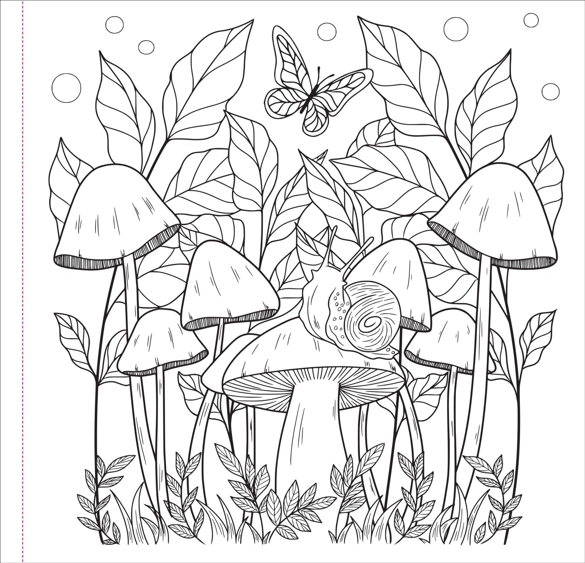 Whimsical Mushrooms Adult Coloring Book - Relaxing Designs by Peter Pauper Press - Foxy’s