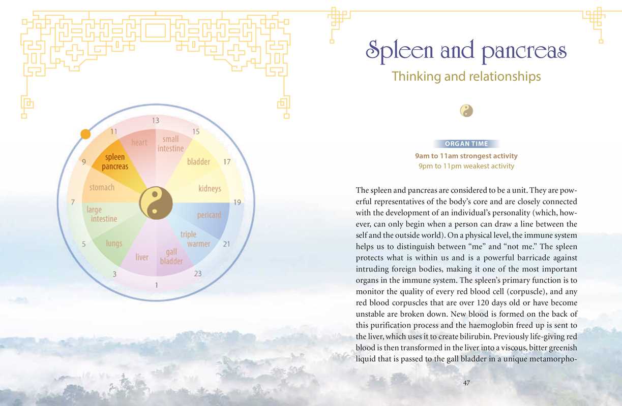 Body Clock in Traditional Chinese Medicine by Lothar Ursinus - Foxy’s