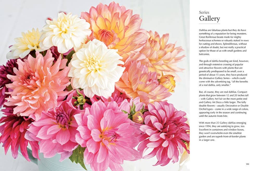 Dahlias; Beautiful Varieties for Home & Garden | Book