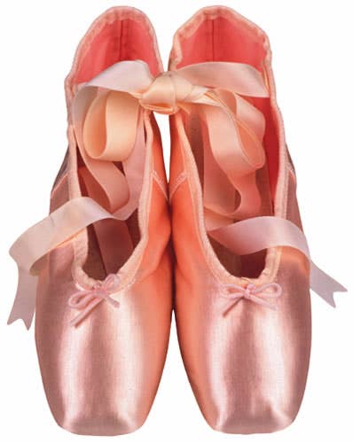 Ballet Slippers Blank Diecut Card