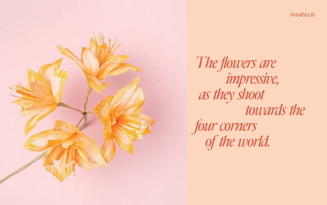Paper Flowers - Foxy’s