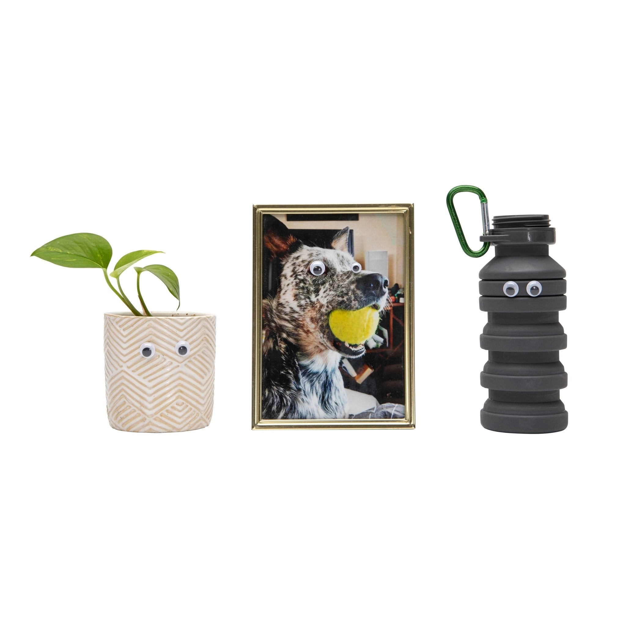Googly Eyes: Emergency Adhesive Eyeballs Kit - Foxy’s