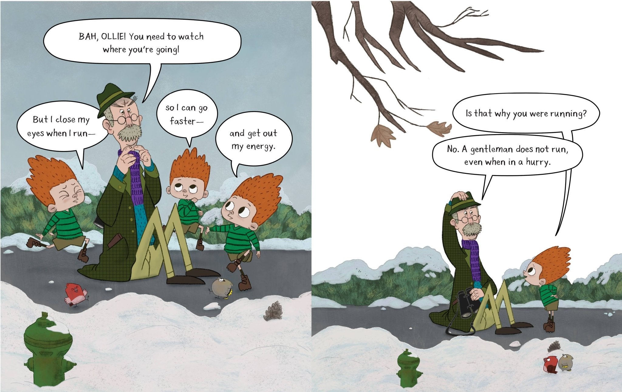 The Birders Book - Foxy’s