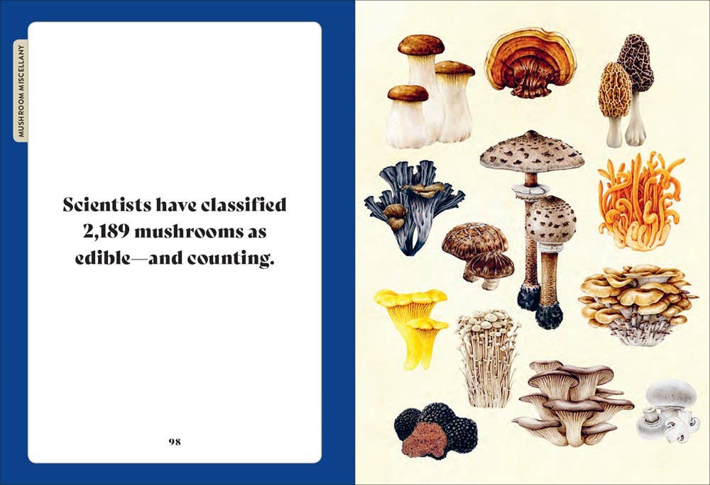 Mushroom Miscellany by Adele Nozedar - Illustrated Guide & Cookbook - Foxy’s