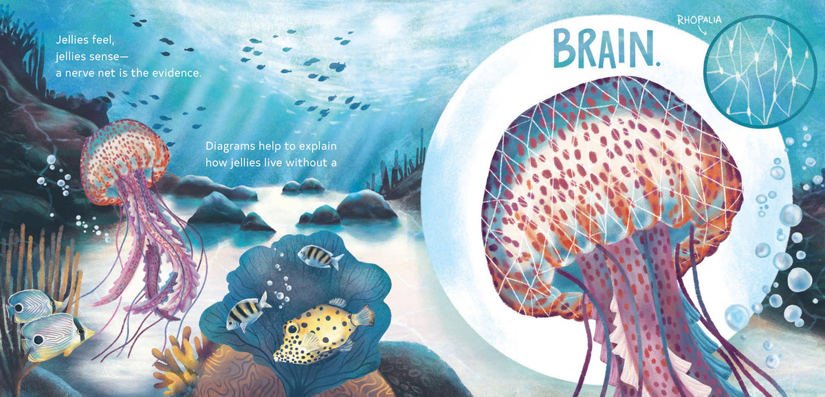 Secrets of the Jellies | Children's Book (For All Ages Alike)