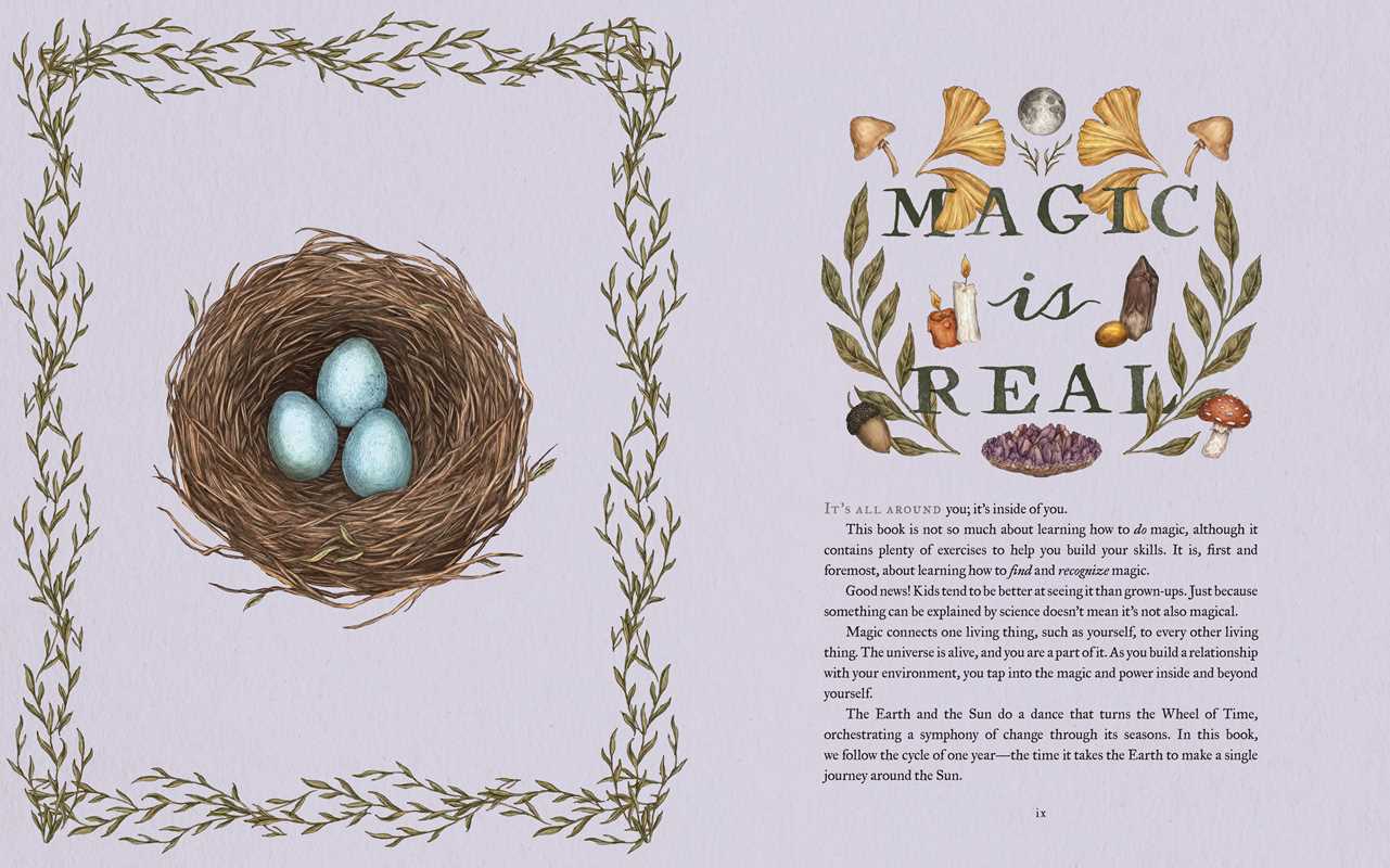 Wheel of the Year by Fiona Book - Foxy’s