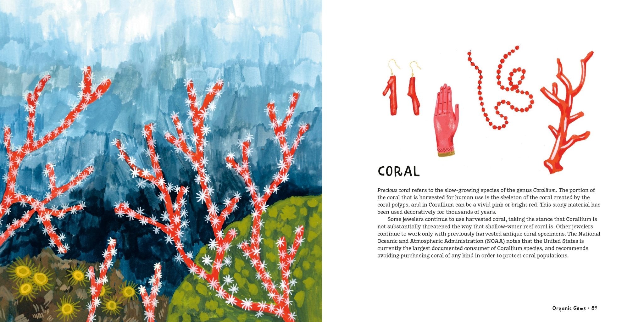 Illustration of coral with text on a book page