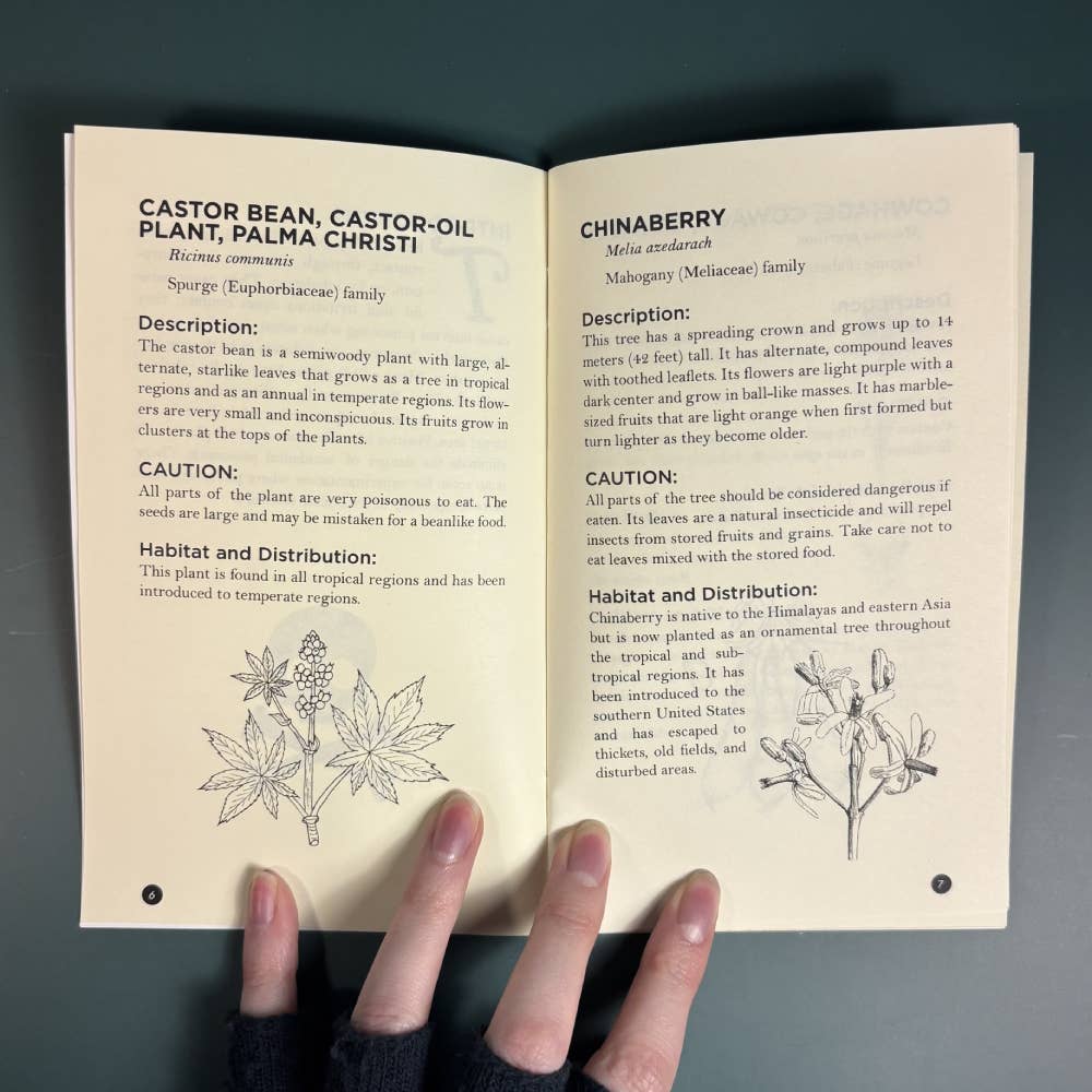 Poisonous Plants & How to Spot Them (Zine) - Foxy’s