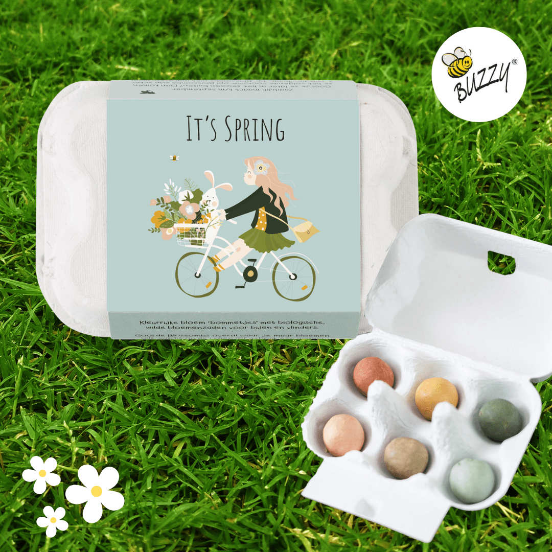 Buzzy 'It's Spring' seed bombs in egg carton. Colorful wildflower seed mix for bees and butterflies.