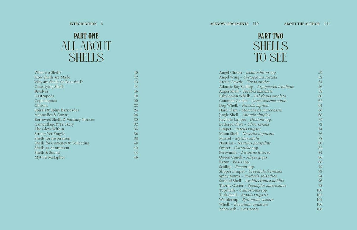 Shells Book - Foxy’s