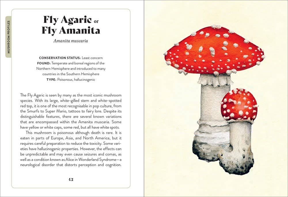 Mushroom Miscellany by Adele Nozedar - Illustrated Guide & Cookbook - Foxy’s