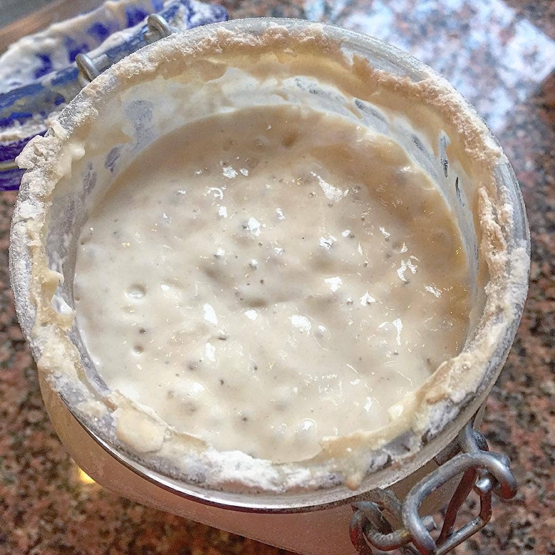 Sourdough Starter - Foxy’s