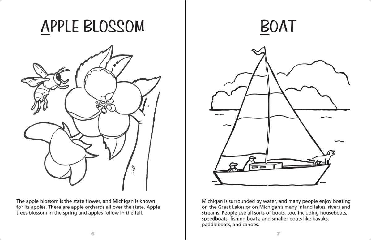 Michigan Activity Book - Foxy’s