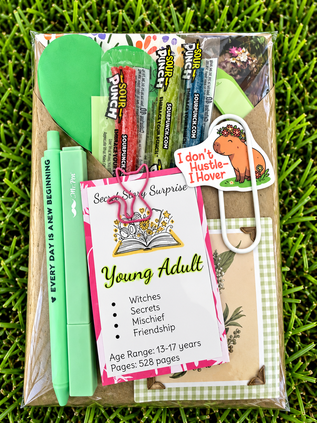 Young Adult Blind Date with a Book - Foxy’s