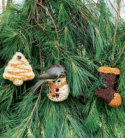 Christmas Shapes (Tree, Snowman, and Stocking) - 3Pk Bird Seed - Foxy’s