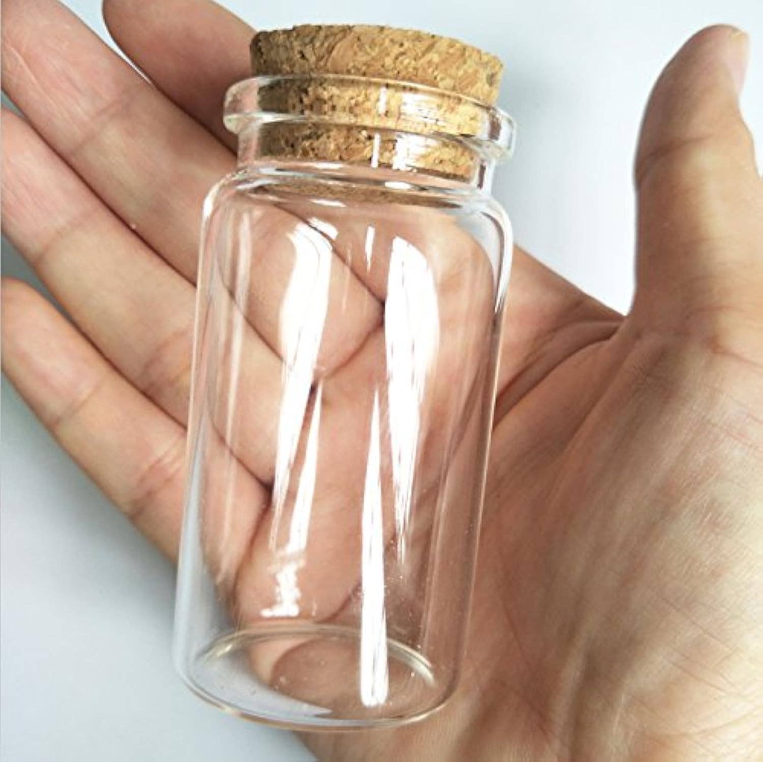 Chaga Chai Mushroom antioxidant Tea Spice in corked Jar - Foxy’s