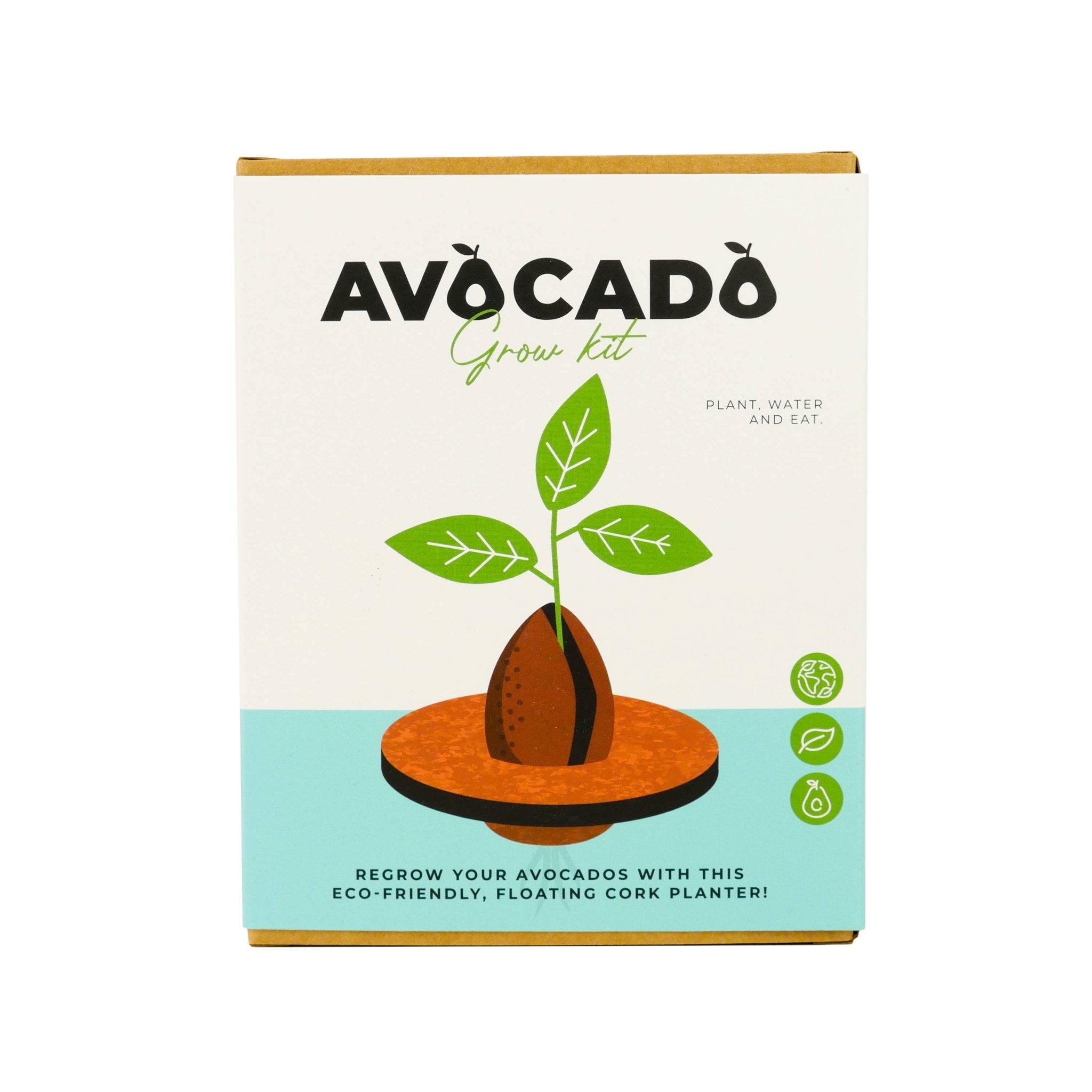 Avocado Grow Kit - Foxy’s