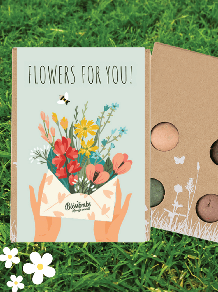 Blossombs Mini Seed Bomb Box - Flowers For You - Organic Wildflower Mix (4 Balls) - Foxy’s