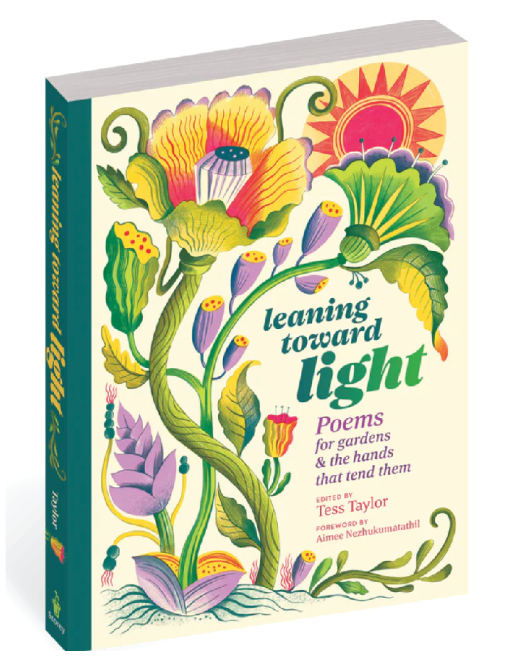 Leaning toward Light Book - Foxy’s