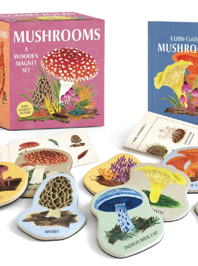 Mushrooms: Wooden Magnet Set - Foxy’s