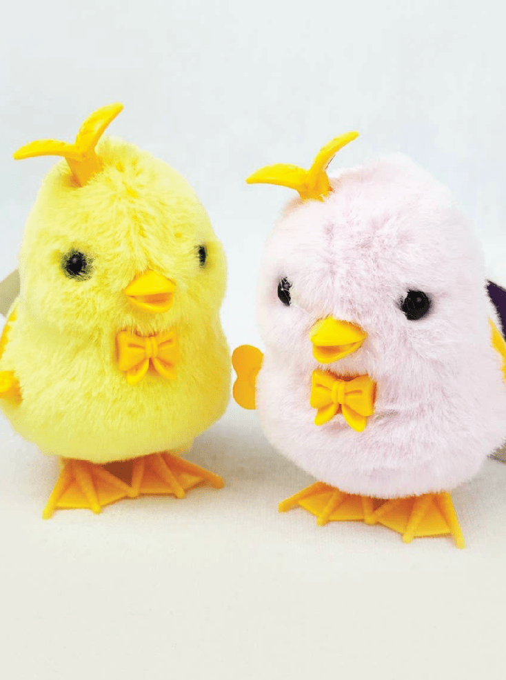 Wind up Hatching Chick Toy - Foxy’s