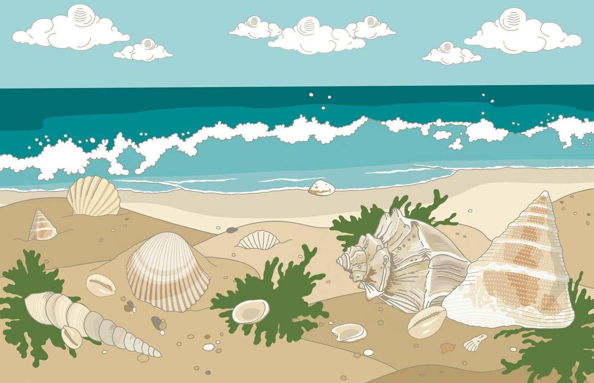 Shells Book - Foxy’s