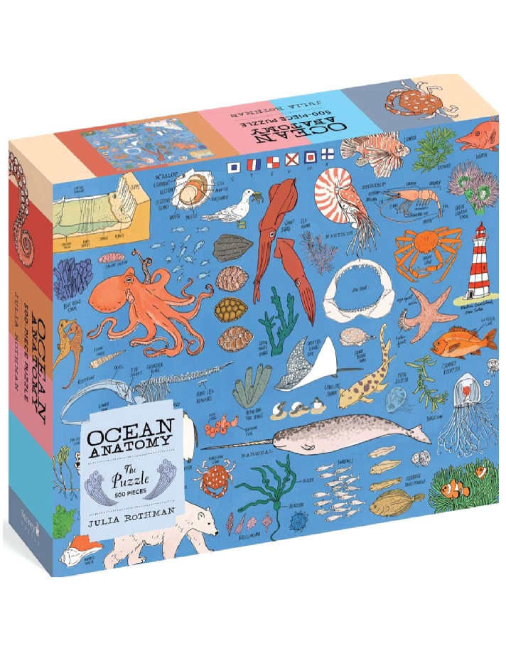 Puzzle box with ocean-themed illustrations on a blue background