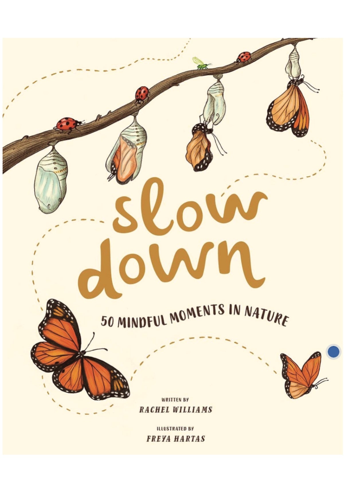 Slow Down Book - Foxy’s