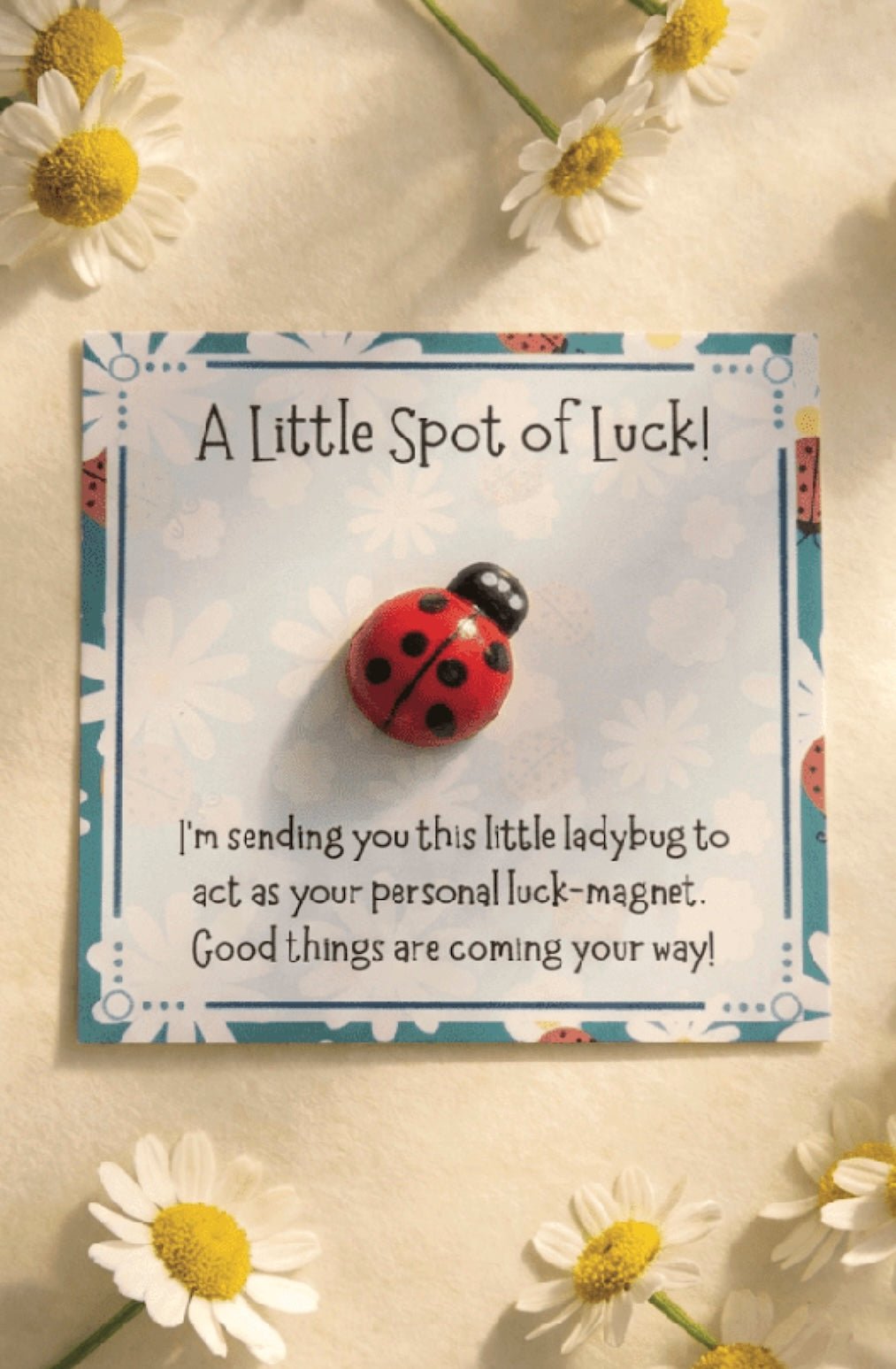 A Little Spot Of Luck Pocket Hug Emotional Support Token - Foxy’s