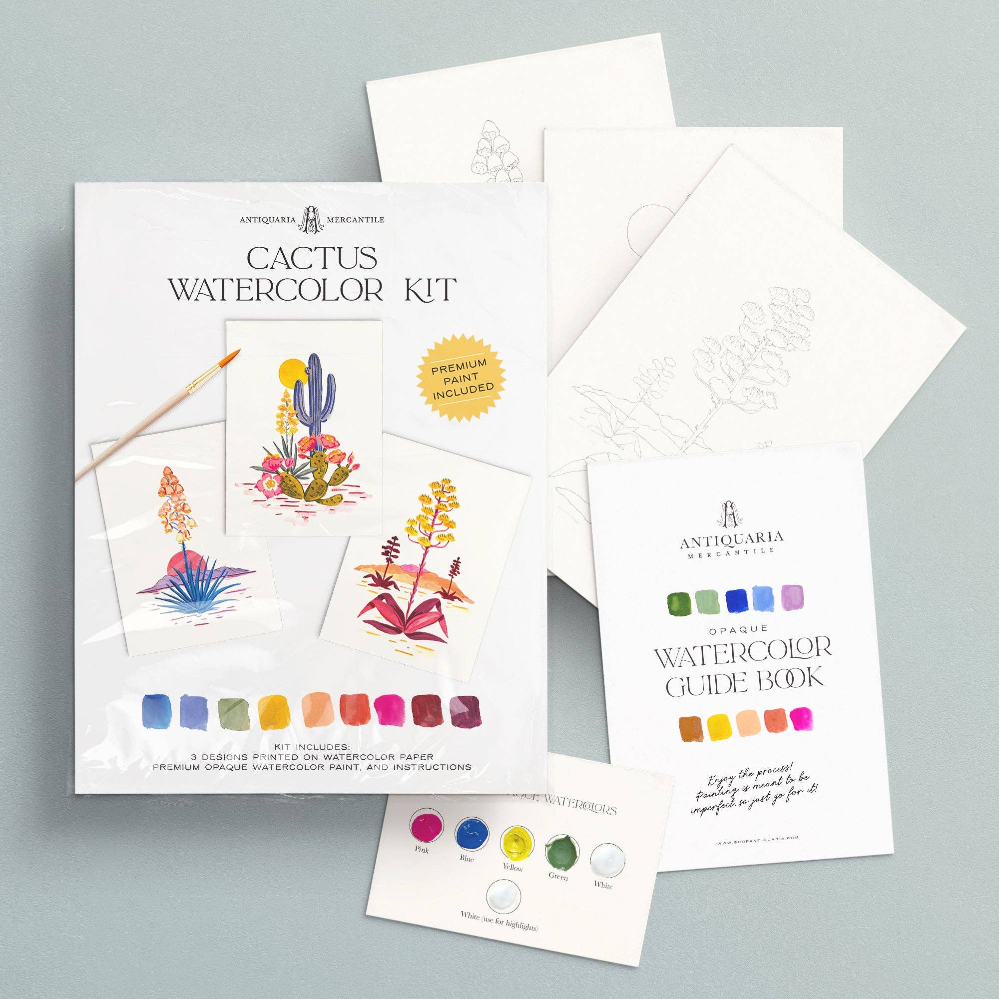 Watercolor Painting Kit: Cactus - Foxy’s