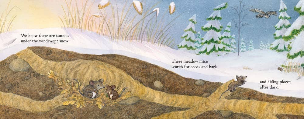 When Winter Comes (board book): Season Children's Book - Foxy’s
