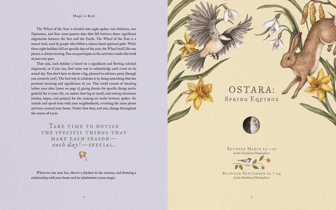 Wheel of the Year by Fiona Book - Foxy’s