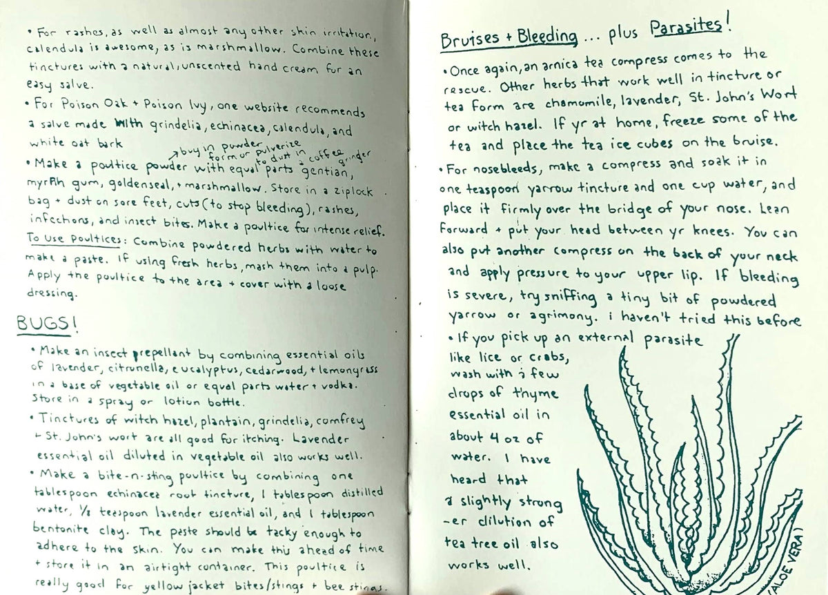 Herbal First Aid: Assembling a Natural First Aid Kit (Zine) - Foxy’s