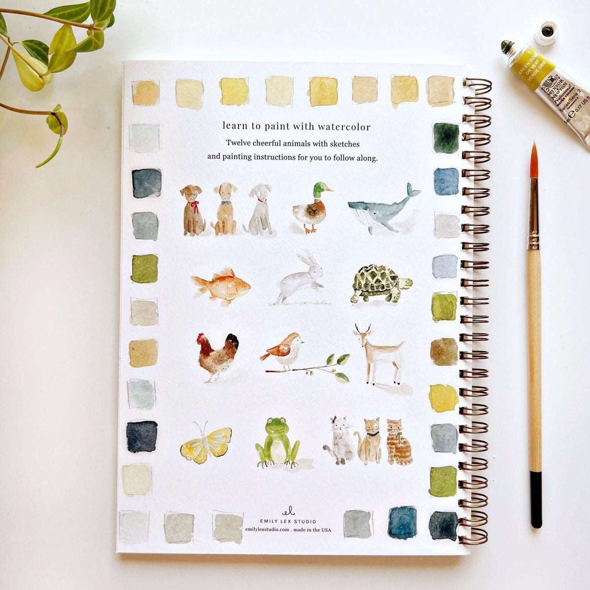 Animals watercolor workbook - Foxy’s