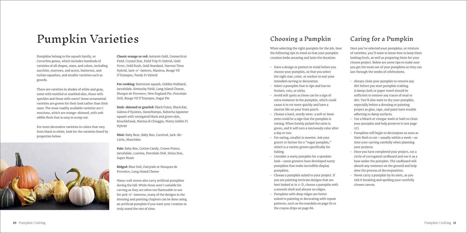 Book page with text on pumpkin varieties, choosing a pumpkin, and caring for a pumpkin, featuring images of pumpkins.