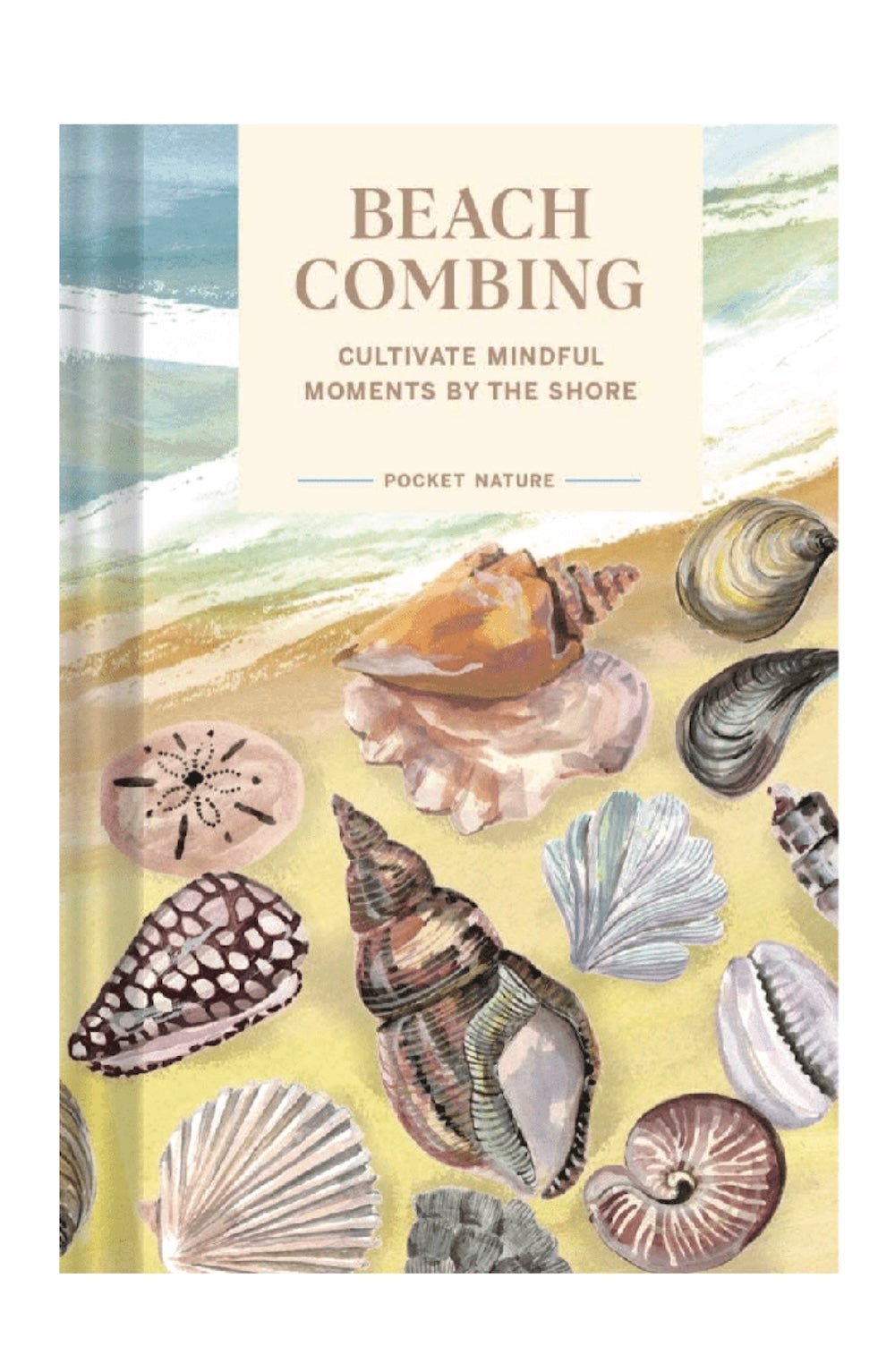 Pocket Nature: Beachcombing Book - Foxy’s