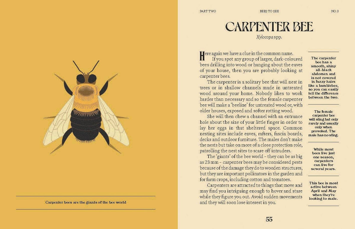Illustration of a carpenter bee on a yellow background with text.