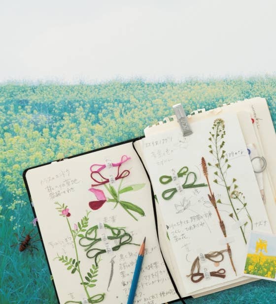 Embroidered Wld Flowers Hand Sewing Kit