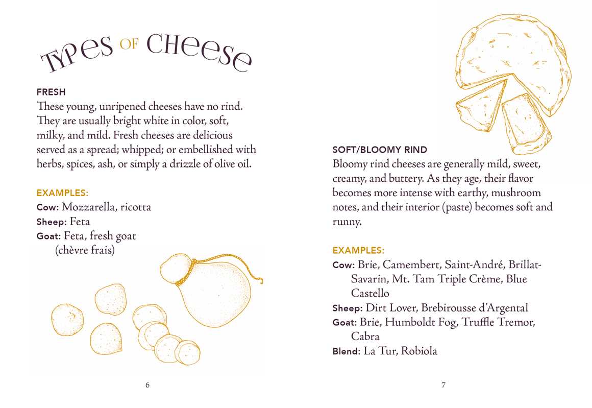 Little Book of Charcuterie and Cheese by Lynda Balslev - Foxy’s